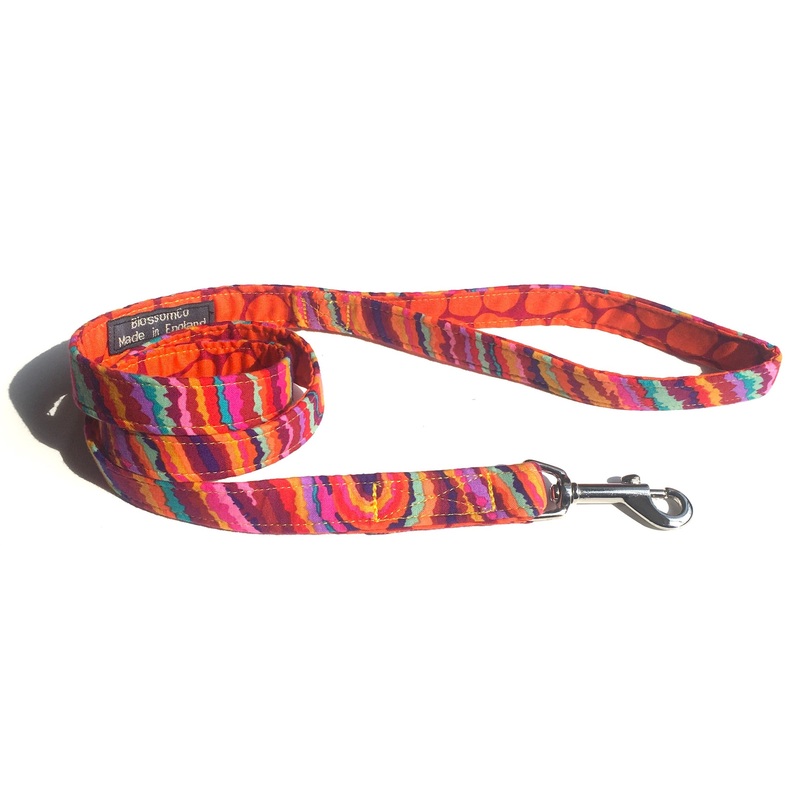 Calypso – Funky Dog Lead
