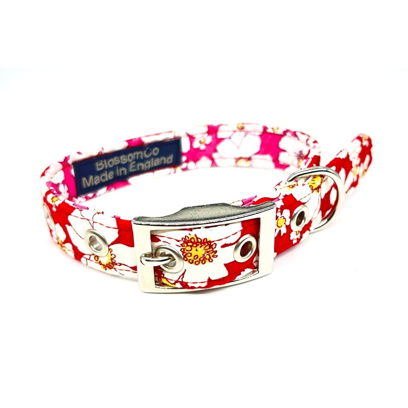Firle – Dog Collar|X-Small|Small|Medium|Large