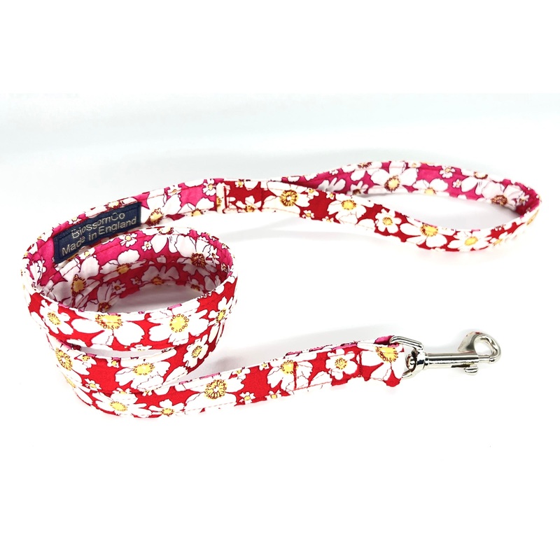 Firle – Dog Lead