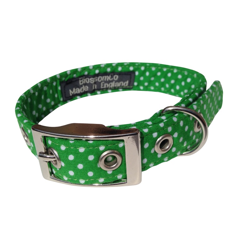 George – Dog Collar|X-Small|Small|Medium|Large