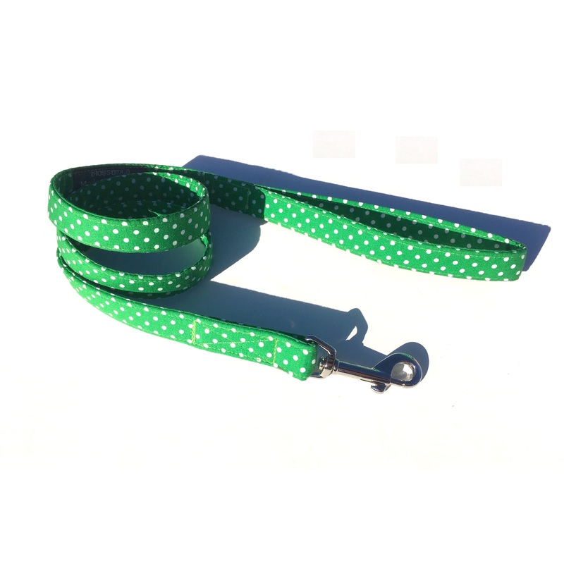 George – Dog Lead