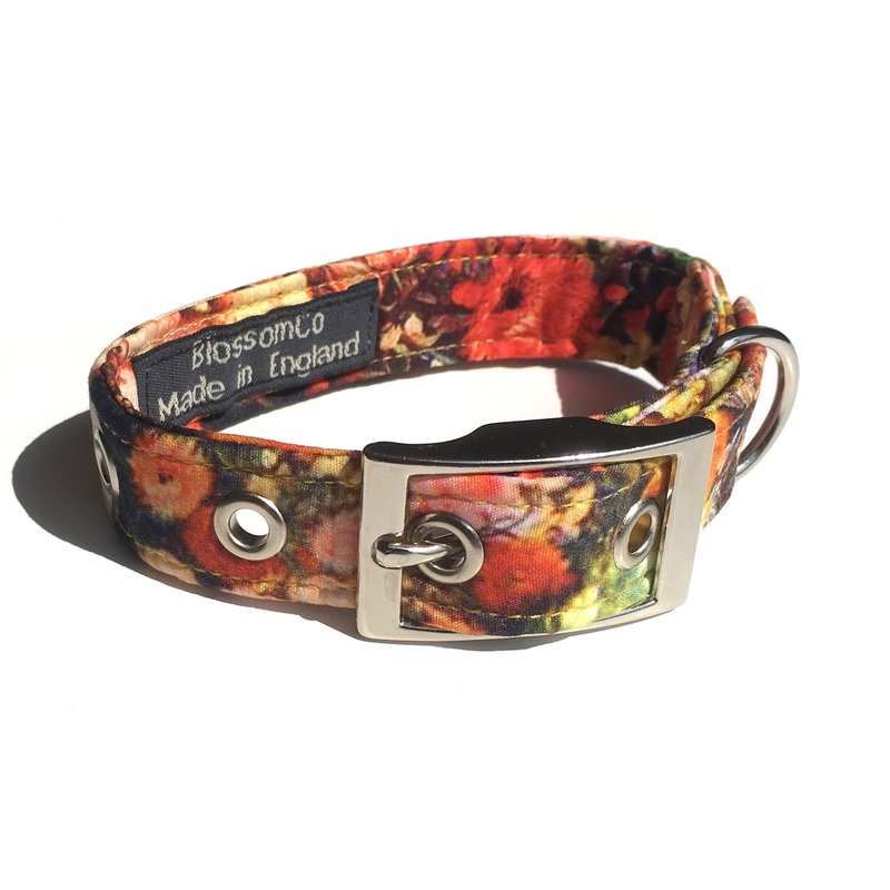 Ginny – Dog Collar|X-Small|Small|Medium|Large