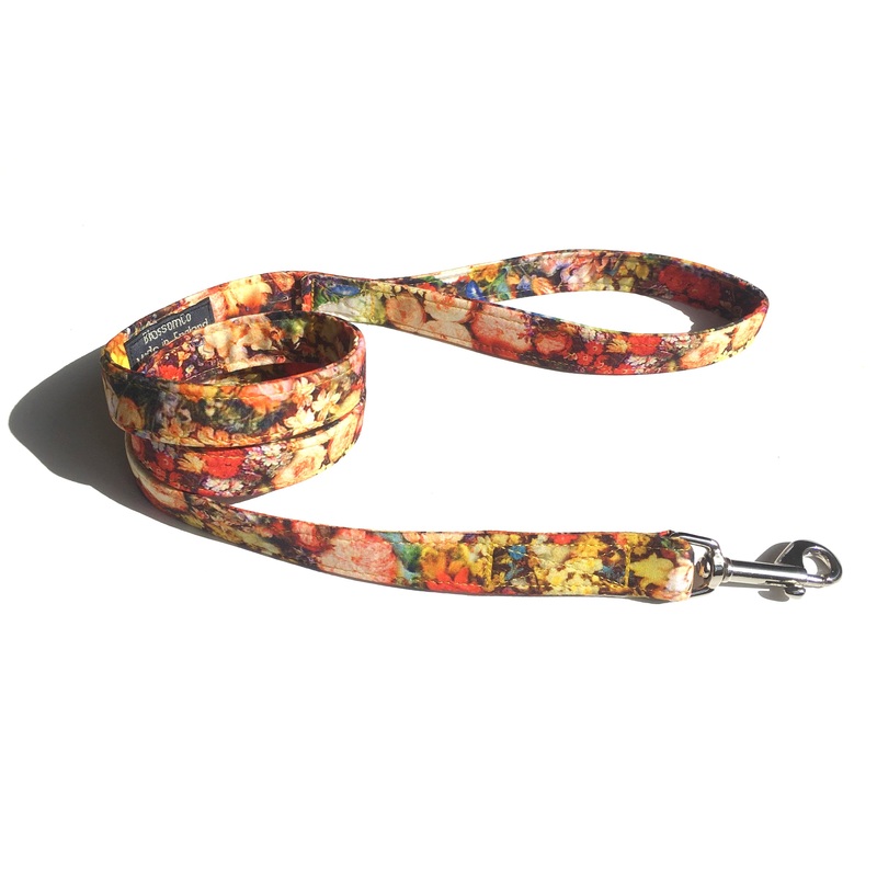 Ginny – Dog Lead
