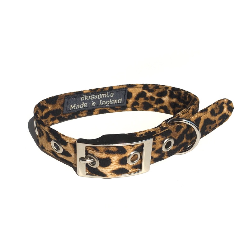 Leopards – Dog Collar|X-Small|Small|Medium|Large