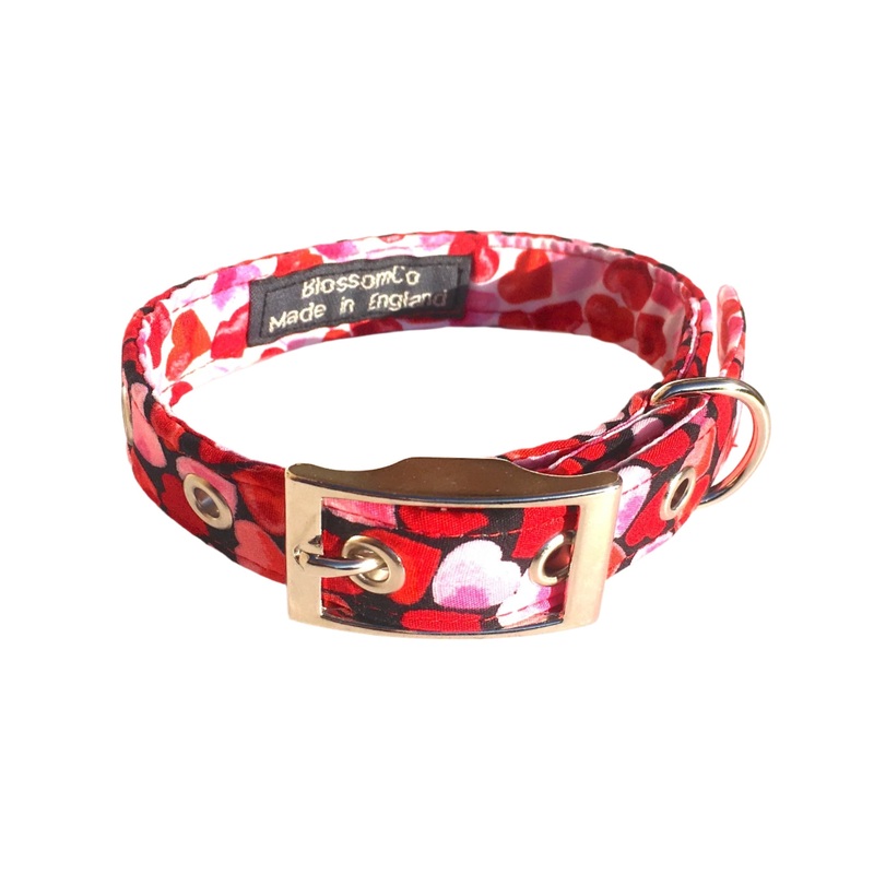 Love & Hearts – Valentines Dog Collar