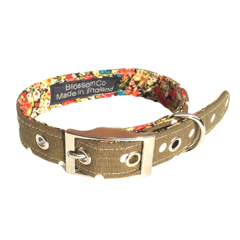 Olive Twist – Dog Collar|X-Small|Small|Medium|Large