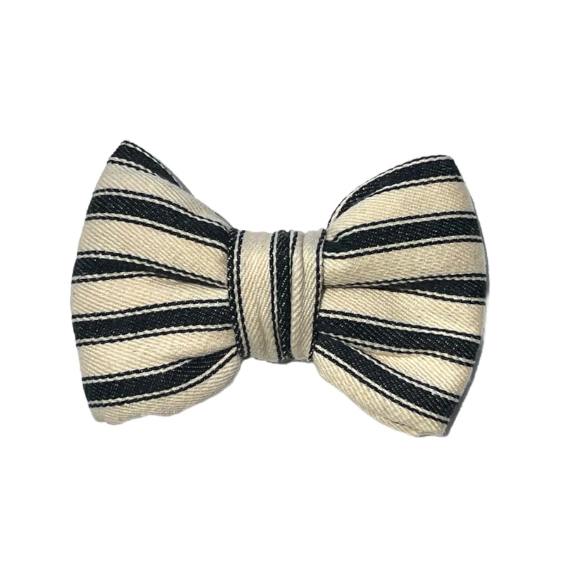Paddington – Dog Bowtie