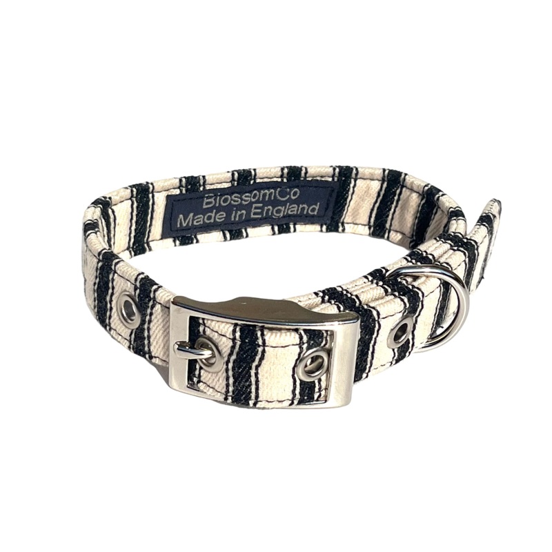 Paddington – Dog Collar|X-Small|Small|Medium|Large