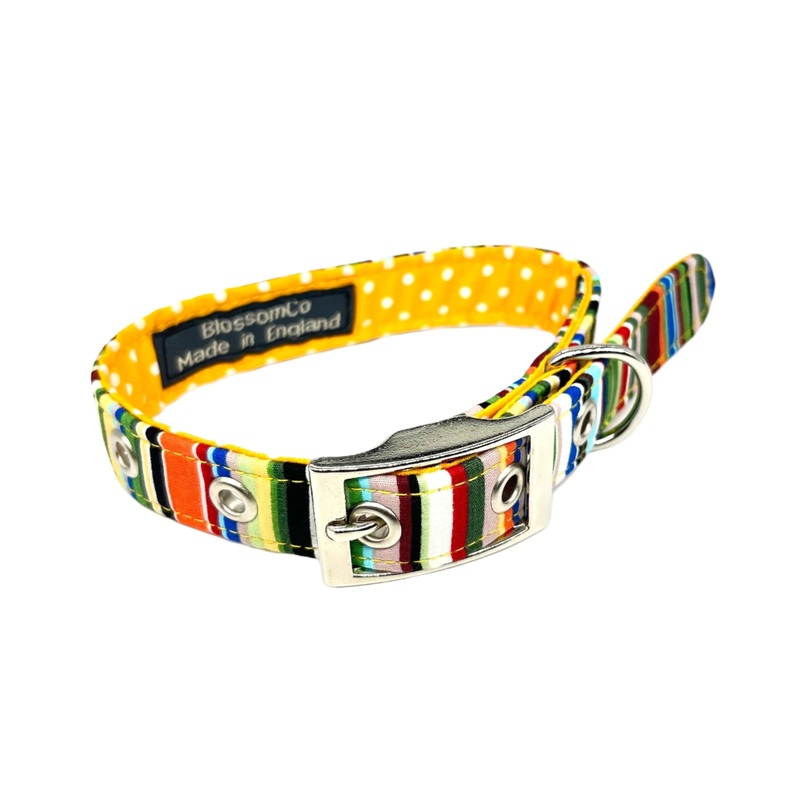 Rock – Dog Collar|X-Small|Small|Medium|Large