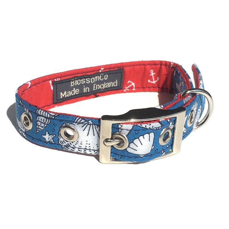Seashells – Dog Collar|X-Small|Small|Medium|Large