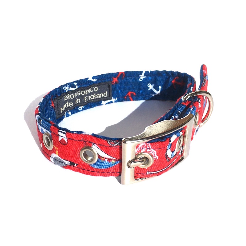 Tenby – Dog Collar|X-Small|Small|Medium|Large
