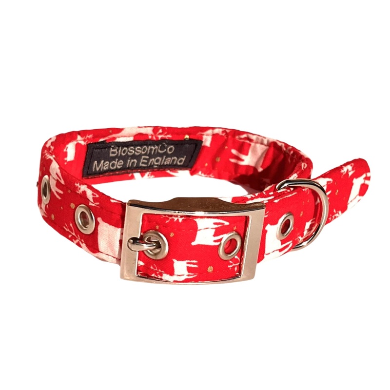 Rudolph – Christmas Dog Collar