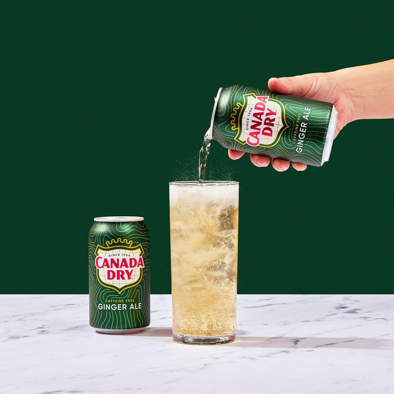 Canada Dry Ginger Ale 355ml |Canada Dry In Lebanon