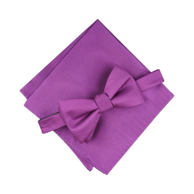 Alfani Men’s Purple Tie ABL229