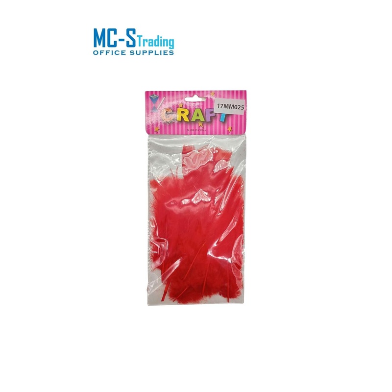 Craft Material Feather 17MM025