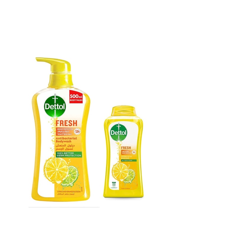 Dettol Fresh Antibacterial Handwash Liquid 500ml + 250ml Free | Dettol  In Lebanon