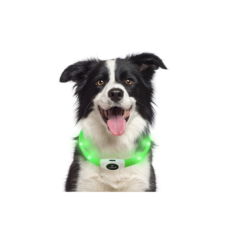 ZooRoyal Dog’s Green Led Light Collar USB Long Hair | ZooRoyal In Lebanon
