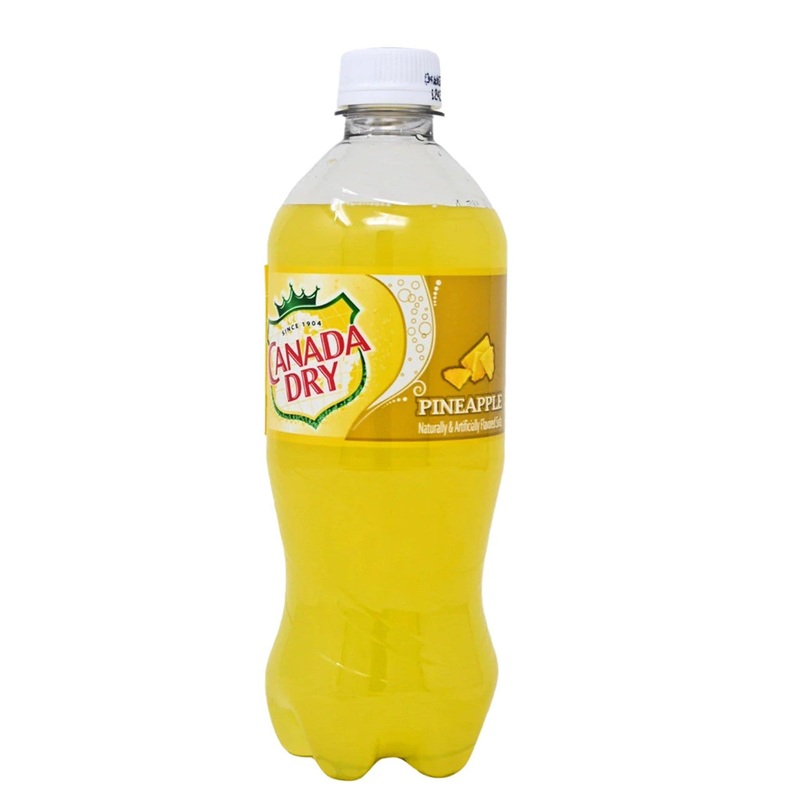Canada Dry Bottle 591mL | Canada Dry In Lebanon