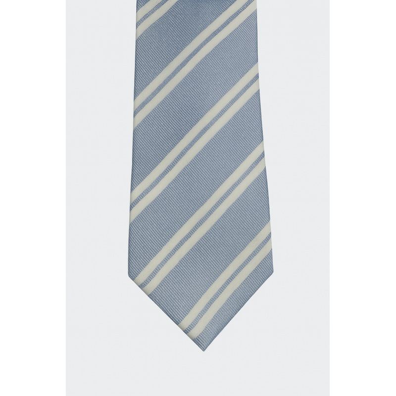 Ted Baker Men’s Blue Tie | Ted Baker In Lebanon