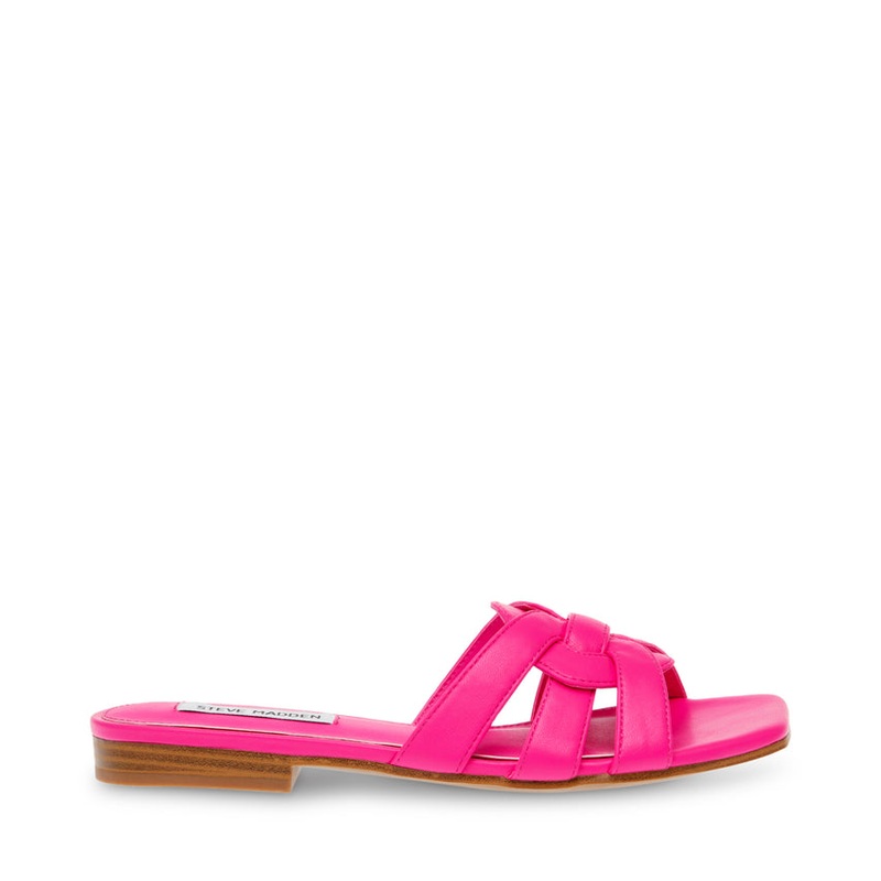 Steve Madden Women’s Fuchsia Vcay Slipper |Steve Madden In Lebanon