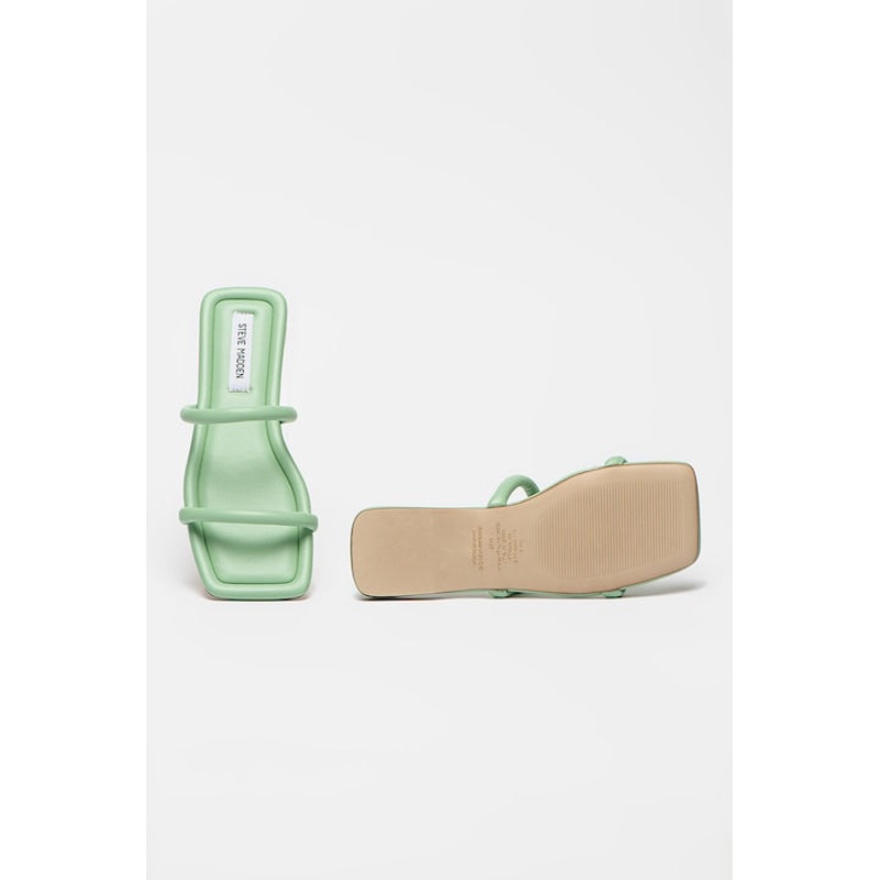 Steve Madden Women’s Mint Green Zolie Slippers | Steve Madden In Lebanon