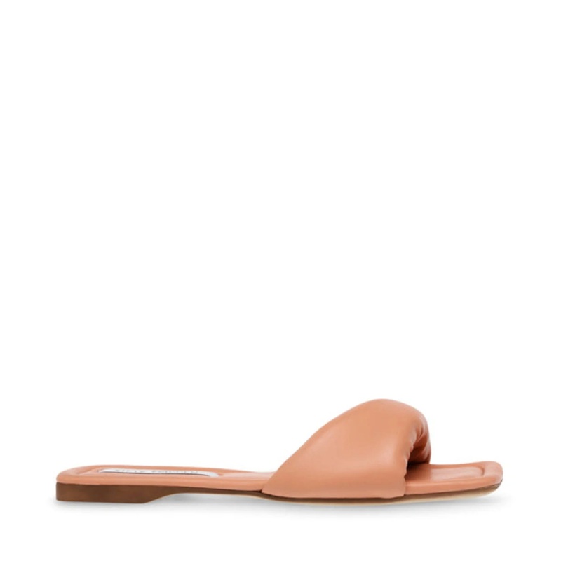 Steve Madden Women’s Peach Nebular Slipper |Steve Madden In Lebanon