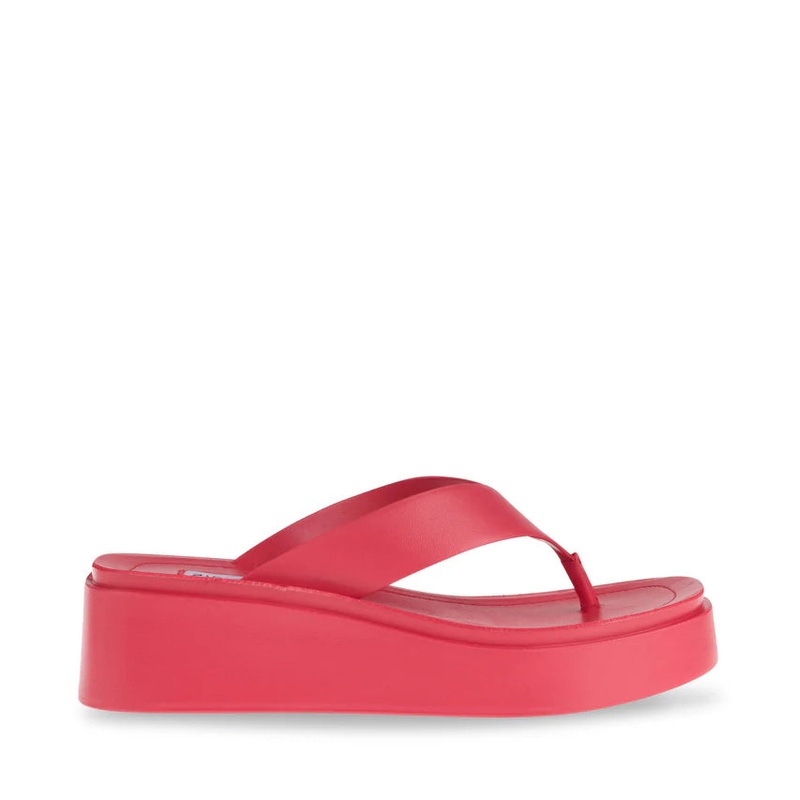 Steve Madden Women’s Hot Pink Carlene Slipper |Steve Madden In Lebanon