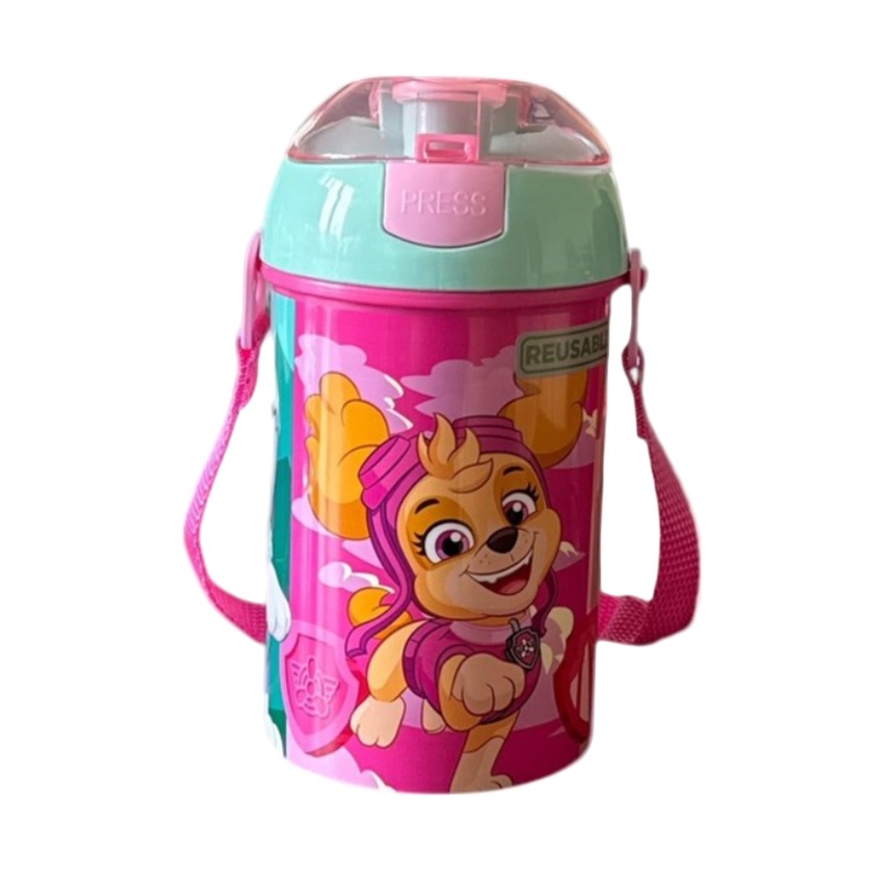 Ecozen Paw Patrol Skye Drinks Bottle 450ml AD-325 | Ecozen In Lebanon