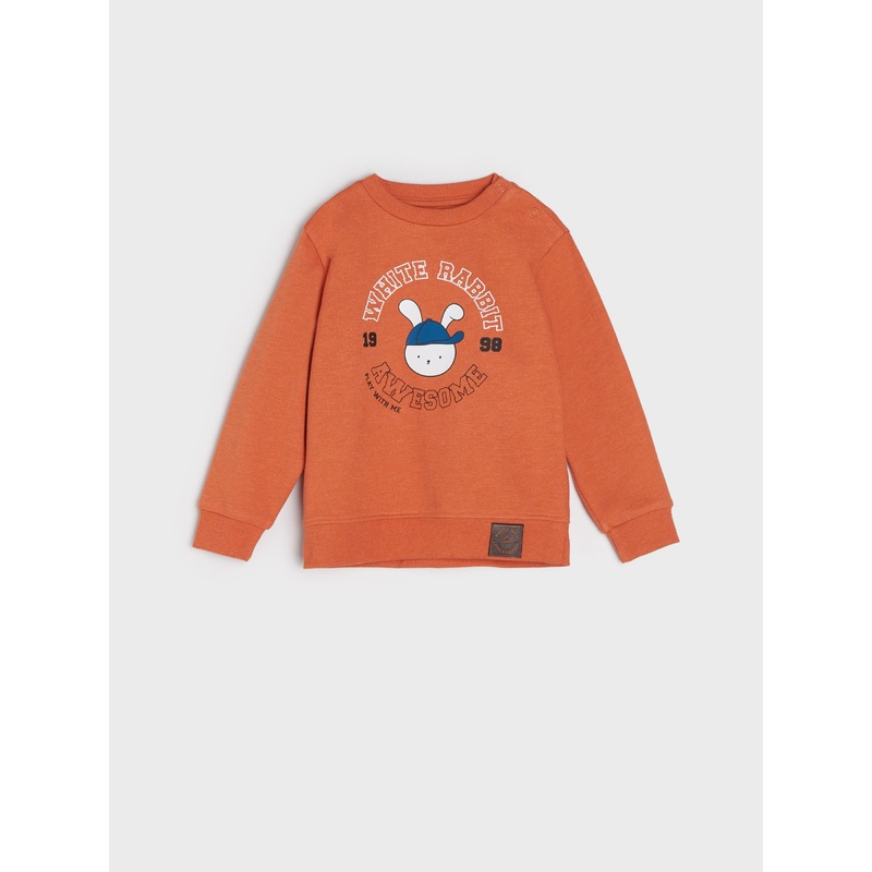 Sinsay Baby Boy’s Orange Sweatshirt With Print | Sinsay In Lebanon