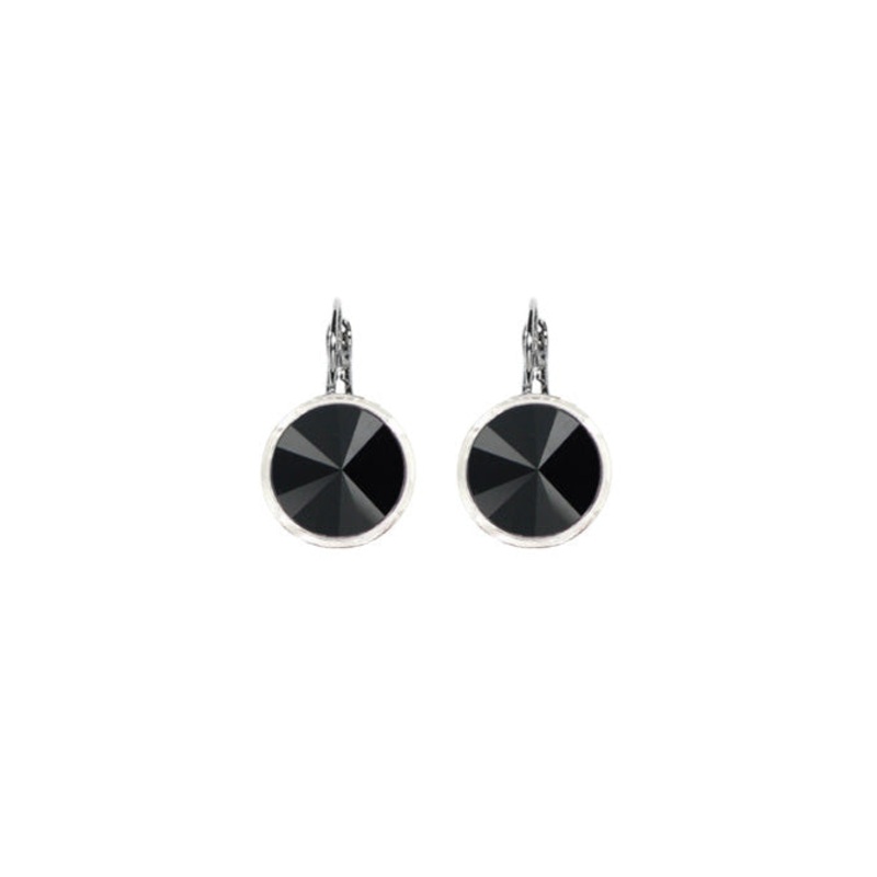 Myka – Anna Rivoli Crystal Euroback Earrings