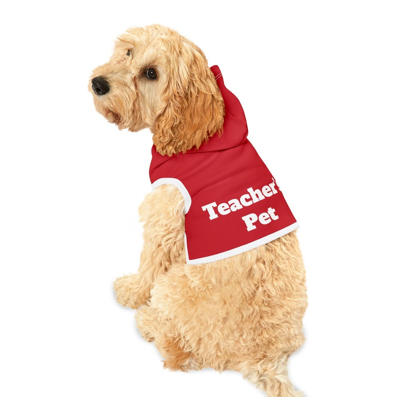 Teacher’s Pet Hoodie|XXS|XS|S|M|L|White Rib