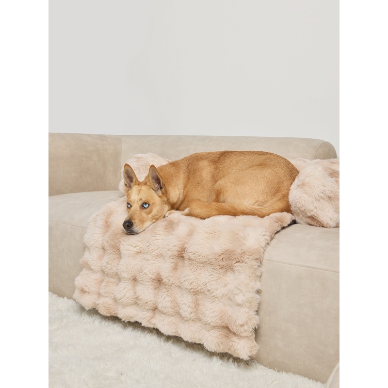 Dream Cloud Pet Sofa Bed – Pre Order