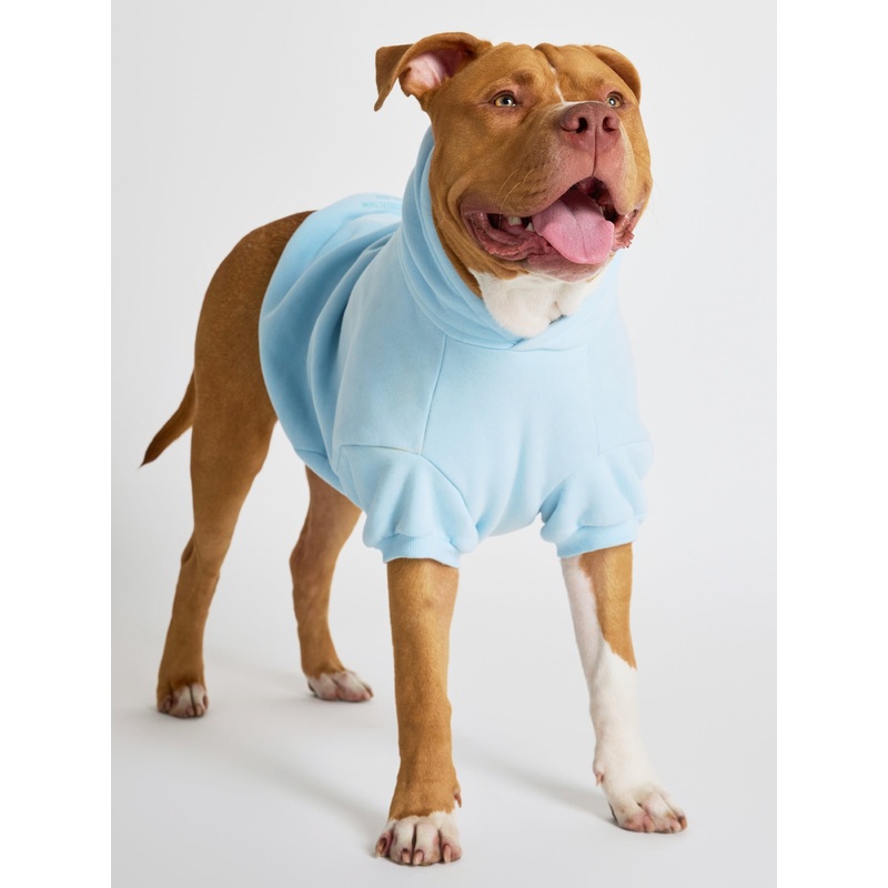 Pastel Paw Hoodie|Baby Blue|Mint|Lavender|Bubblegum|XXS|XS|S|M|L|XL|2X|3X|4X|5X|6X|7X
