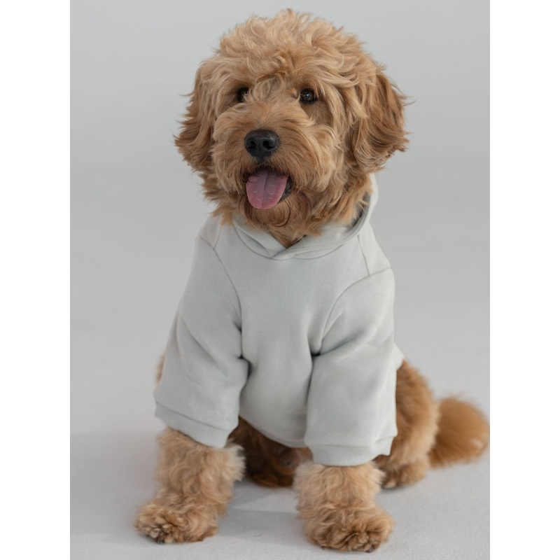 Tranquil Paw Hoodie -Pre-Order
