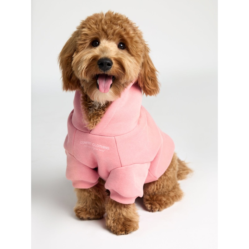 You Matter Paw Hoodie|Plum|Jade|Coral Blush|Orchid|Steel Grey|XXS|XS|S|M|L|XL|2X|3X|4X|5X|6X|7X