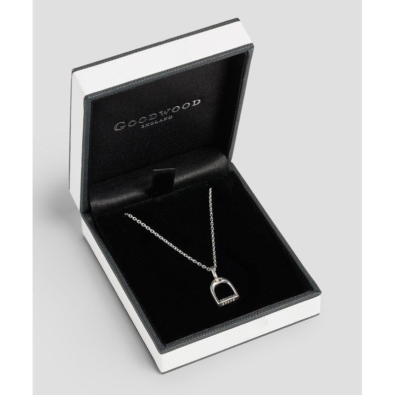 Sparkly Stirrup Charm Necklace